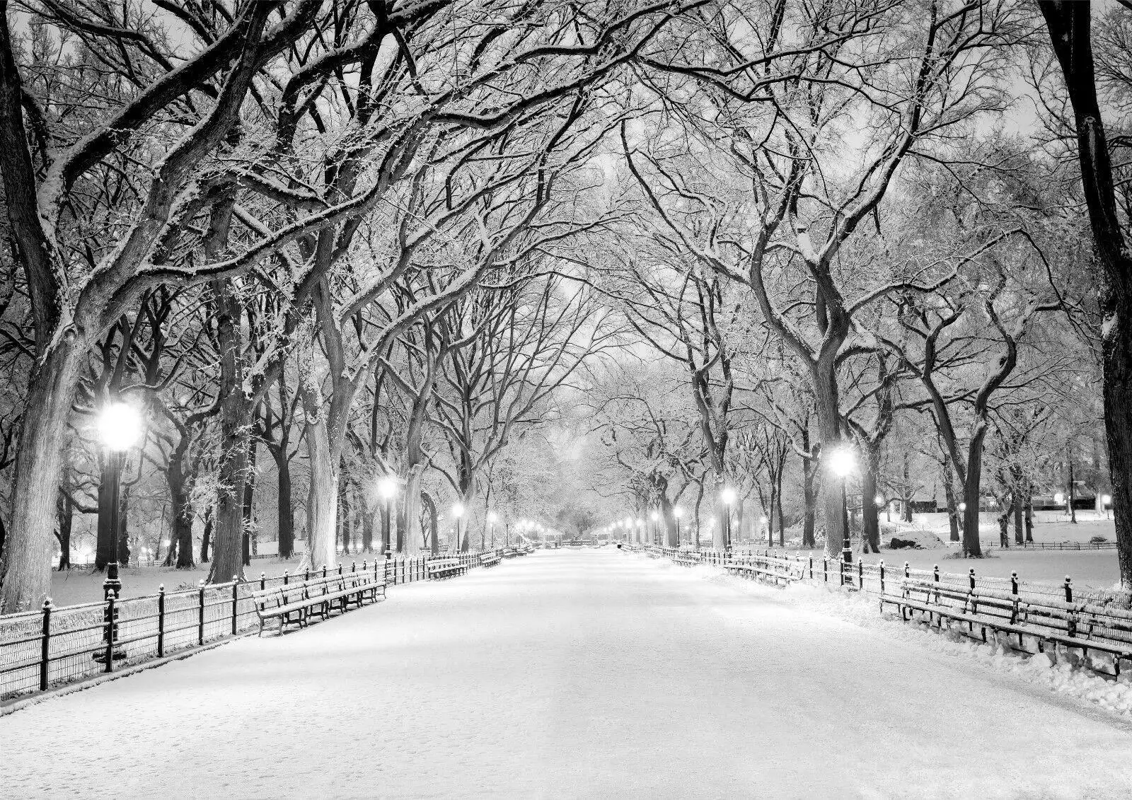 Photography New York - Central Park New York Black &