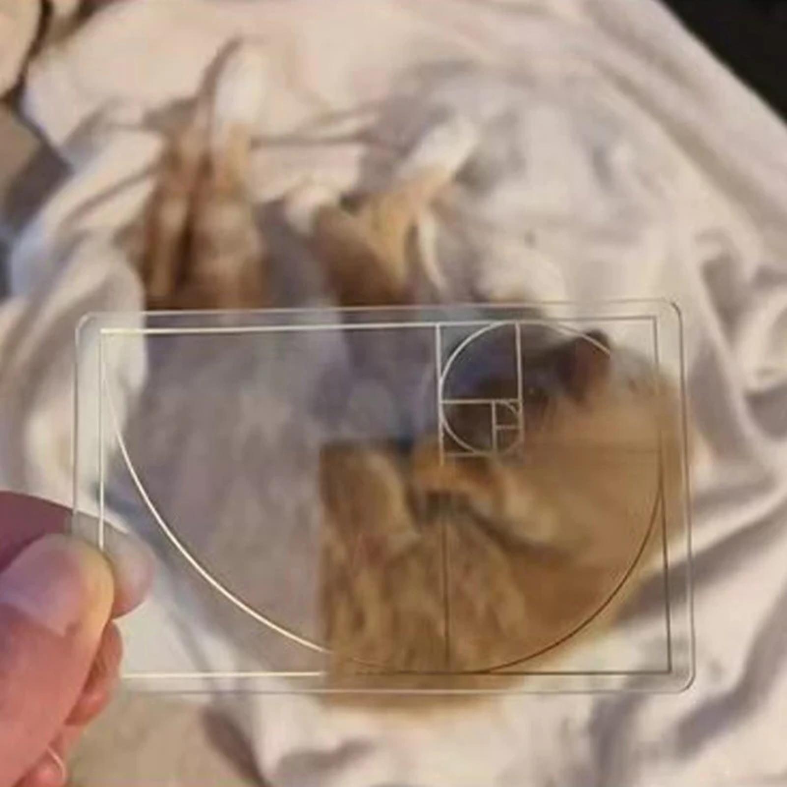 View Finder for Drawing Golden - Photography Golden Ratio recension och pris