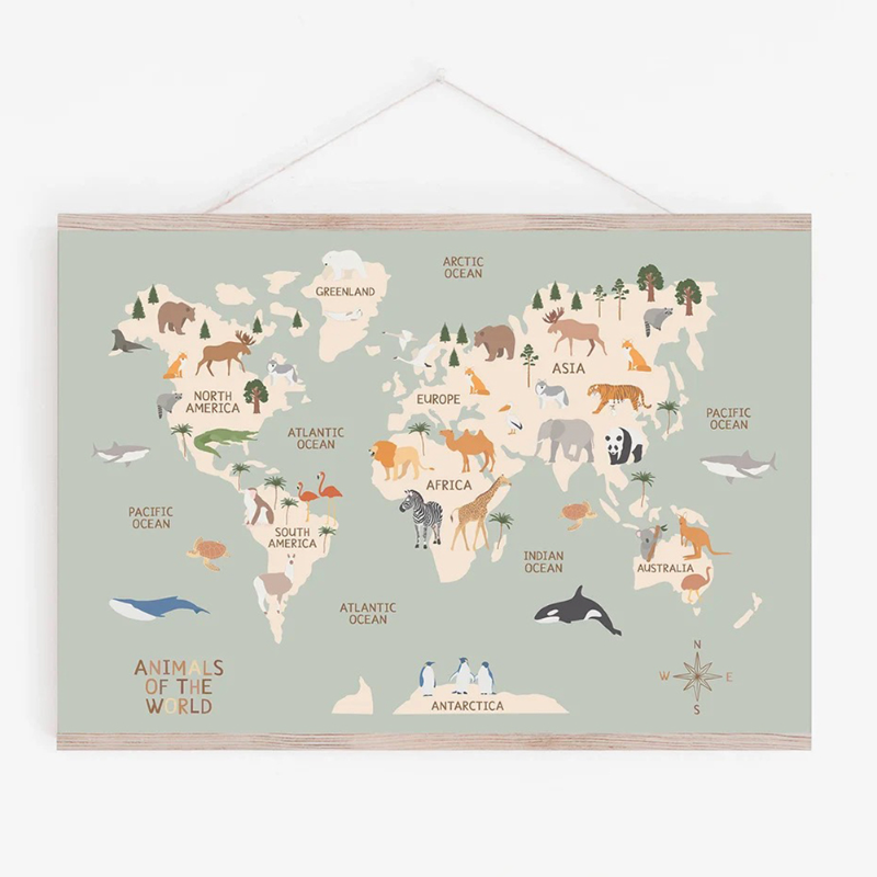 Education Poster Animal World  - Photography Font recension och pris