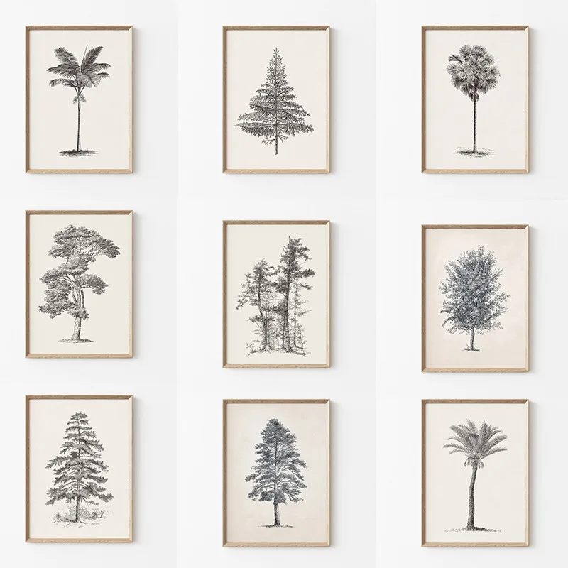 Vintage Trees Landscape Sketch - Photography Hobby recension och pris