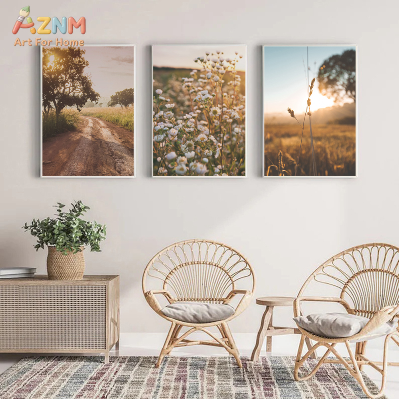 AZNM Golden Hour Countryside a - Photography Hobby recension och pris